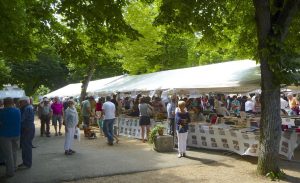 Frigide Barjot au Salon du Livre de Montmorillon @ Salon du Livre de Montmorillon | Moulismes | Poitou-Charentes | France